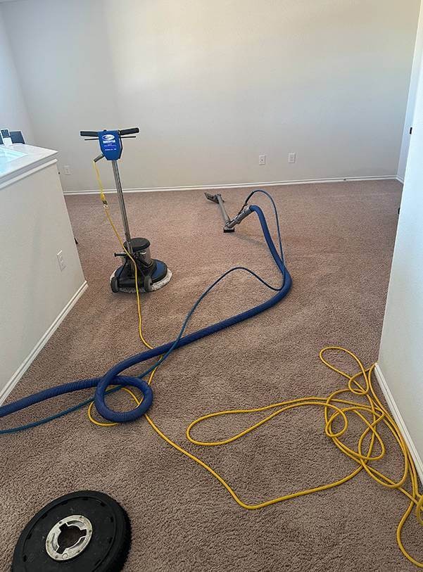 Carpet Cleaning